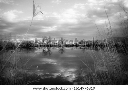 reflections on the river in black and white with trees and clouds