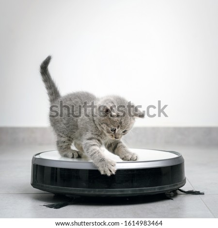 housework and smart technology concept , kitten play with robot vacuum cleaner at home Royalty-Free Stock Photo #1614983464