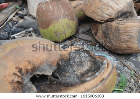 dark brown coconut shell on the side of the house