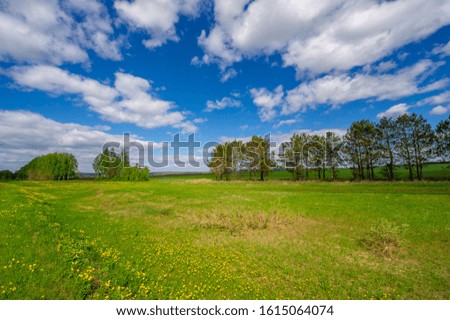 Spring photography, fields, meadows, spring beauty of ravines, amazing blue sky in white fluffy clouds, the earth wakes up after a winter cold