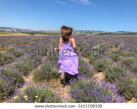 a young girl of model appearance runs in a lavender field in a purple long dress. girl with long hair. lavender provence concept