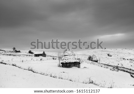 Traditional houses in Dumesti village, Apuseni Mountains, Transylvania region, Romania, in winter, black and white photo