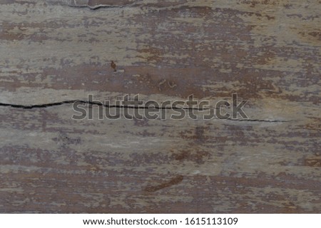 Wood Wall or table Textures For text and background