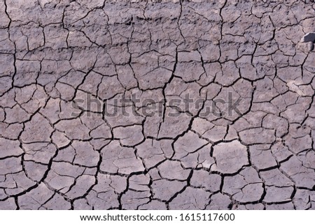 Photo Picture of Dry cracked mud earth texture