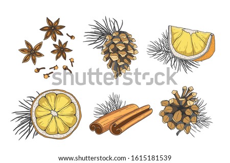 Cone, lemon and cinnamon set. Christmas elements. Vector illustration.