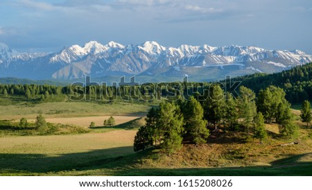 View of the snow-capped peaks of the mountain range. Mountain plateau, summer Altai.
