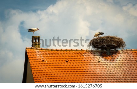 The stork's nest is located on the roof of the house. France, Ribauville, July 2019 Royalty-Free Stock Photo #1615276705