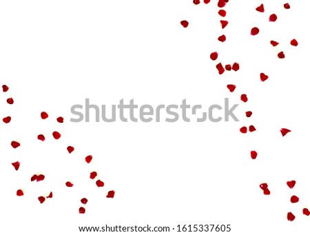 Rose petals are scattered on the floor. There is free space for your design. Isolated white background