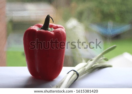 Stock image of a red bell pepper next to a tied bunch of spring onions close up