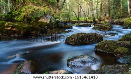 A small river in the forest during late autumn in Sweden. Västra Götaland. With smooth water and stones.