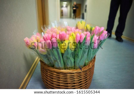 Basket with colorful bouquets of tulips on white background Royalty-Free Stock Photo #1615505344