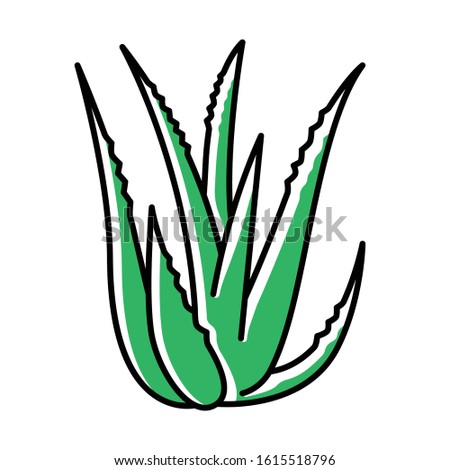 Aloe vera green color icon. Succulent growing sprouts. Cactus leaves and thorns. Medicinal herb for skincare. Decorative plant.. Ingredient for organic cosmetic. Isolated vector illustration