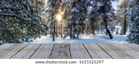 wooden display shelf table top against blurred sun rays shining through the snow covered pine trees in the winter forest, panoramic picture