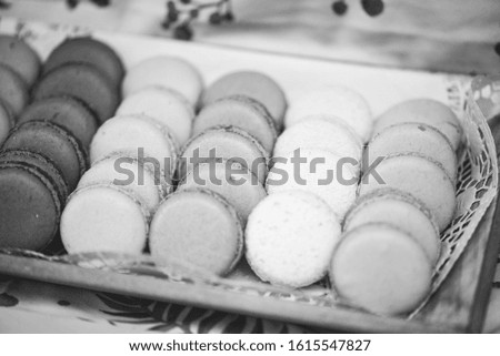 delicious artisanal french mix macaroons