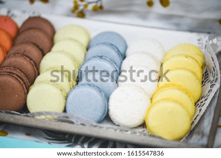 delicious artisanal french mix macaroons