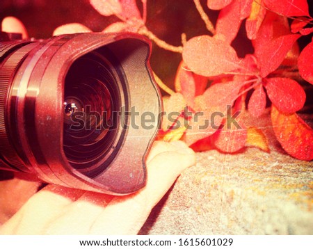 Digital camera with touchtable display on autumn leaves background.  Abstract filter.