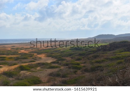 Arubian Terrain and Coastline Background 