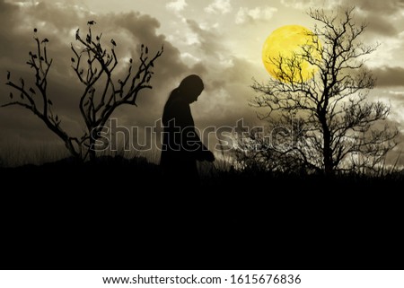 A woman standing with beautiful moon in the night