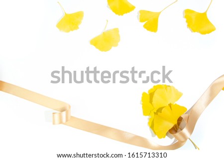 White board background with Ginkgo leaves and golden ribbon