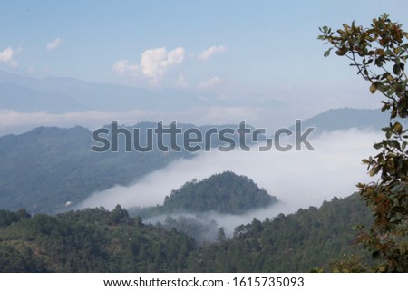 beautiful forest in the mountains with haze with volcano in the background