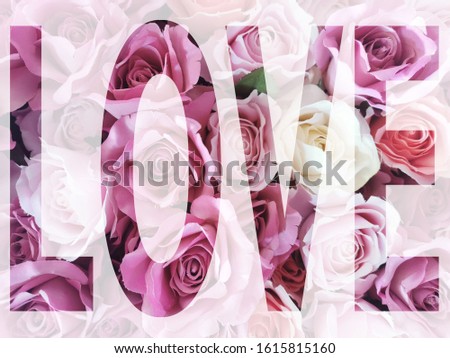 The word "LOVE" on pink rose photo background, Valentine concept.
