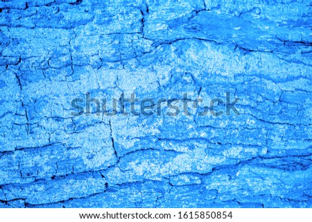 Texture, background, pattern, sensation, appearance or texture of a surface or substance. Bark of tree