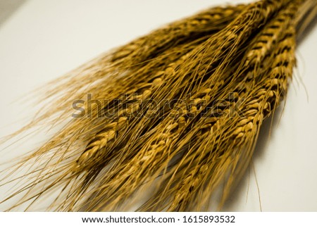 Close up of a pile of rice