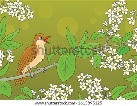 Small singing nightingale perched on a branch with white flowers of a spring blooming tree, vector cartoon illustration