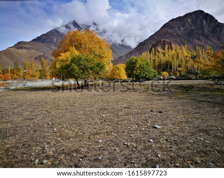Impressive autumn scene at Yasin valley, Gilgit Pakistan.