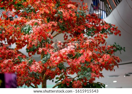 The realistic blurry background of realistic colored leaves that can be used to decorate a mall, community mall, or coffee shop for the beauty of the audience.