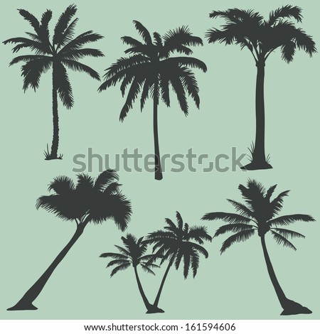 vector set of  palms silhouettes 
