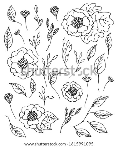 Big set of ornamental leaves, flowers, twigs and berries. Hand drawn illustrations on white background. 28 Black silhouettes. Elegant floral elements set. Decoration postcards, magazines, site, books