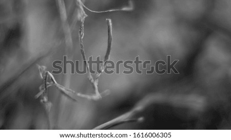 Abstract background black and white