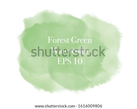 Forest green watercolor brush splash cloud on white background. Subtle ethereal delicate backdrop on white background. Digital abstract illustration artwork with copy space. 