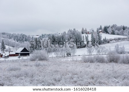 Alpine village in Transylvania, Romania. Snow covered houses in wintertime