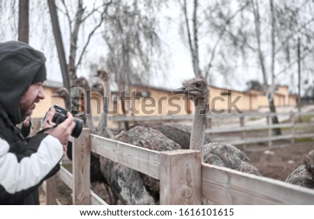 a man photographs an ostrich on a mobile phone