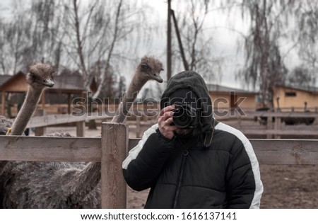man with a camera next to ostriches on a farm