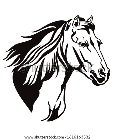 Decorative monochrome contour portrait of running horse with long mane looking in profile, vector illustration in black color isolated on white background. Image for logo, design and tattoo. 