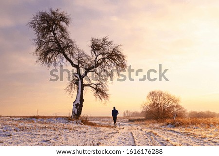 Morning run in cold winter nature, alone runner and tree, orange sunrise light, white edit space