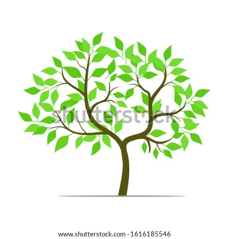 Green leaf tree with white background, vector illustration