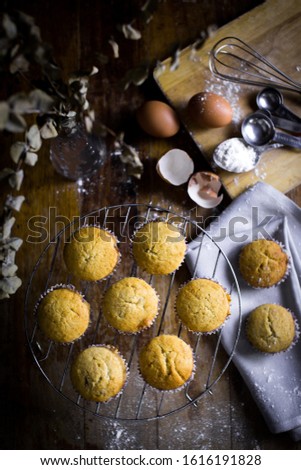 homemade cupcake muffin cake wood background table
