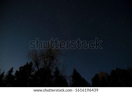 Night starry sky in Siberia
