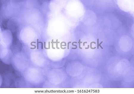 bokeh background with abstract blurred foliage and bright summer sunlight