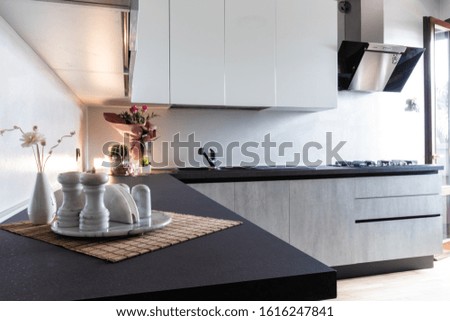 Modern kitchen, white and gray.