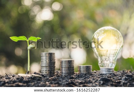Light bulb with coins and young plant  for saving money,financial,business or energy concept put on the soil in soft green nature background.