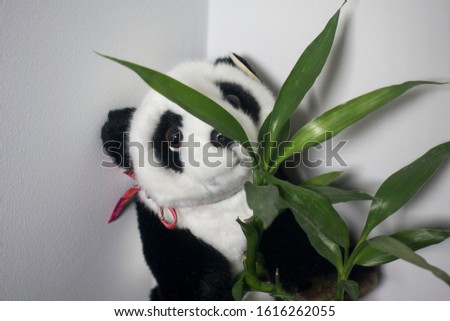 Toy Panda black and white wonderful Panda rests on bamboo buying different gift compositions natural gift Panda toy.