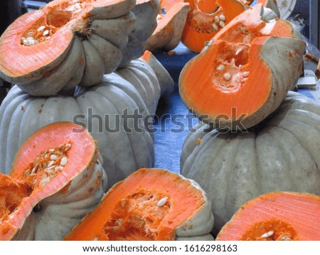 pumpkin vegetables and leaves in garden 