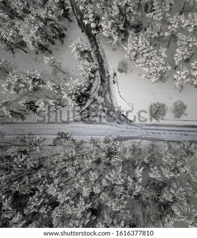 Drone shot of a Swedish winter road