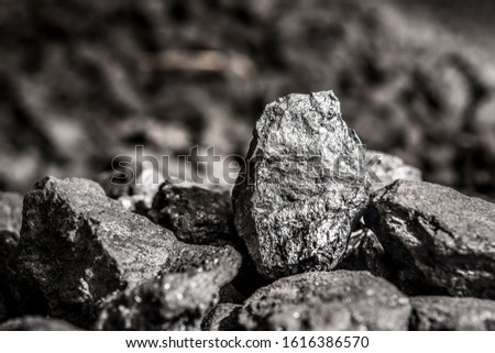 Coal mining industry. Natural black coals for background. Coal in the miner  hands. Volcanic rock.