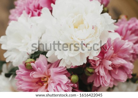 Beautiful peony bouquet in sunny light. Stylish pink  and white peonies on wooden background. Hello spring. Happy Mothers day greeting card. Happy valentines day